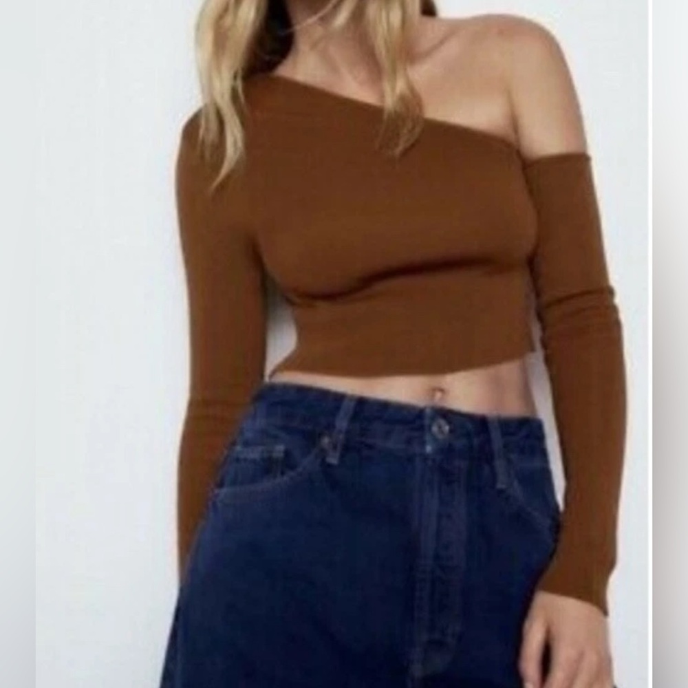 Zara Asymmetrical Brown Crop Top